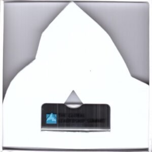 2016 m. Pasaulinės lyderystės konferencijos vaizdo įrašų USB jungtis